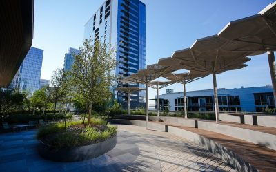 The Republic: Elevating Downtown Austin