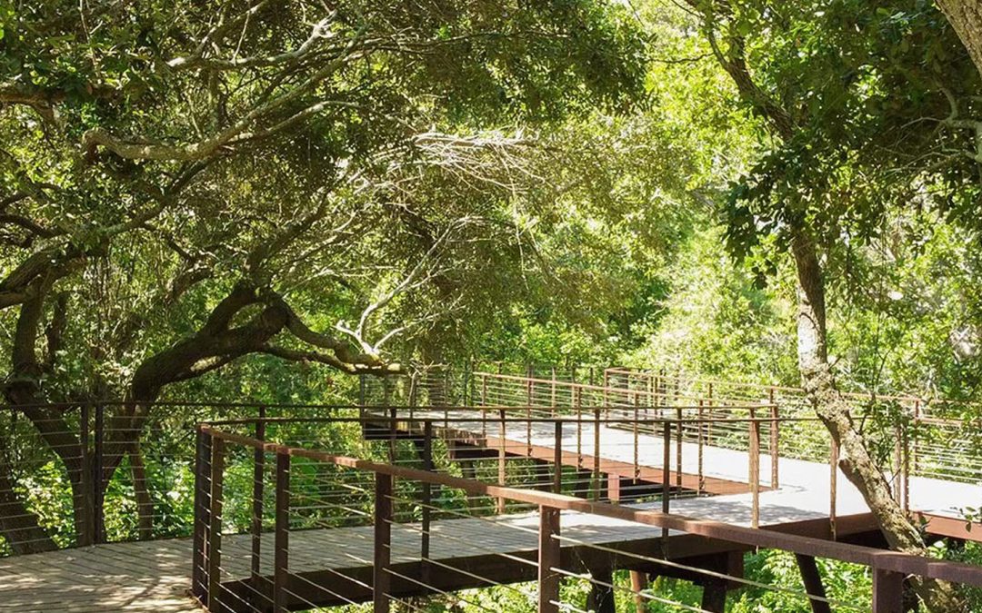 High Island Sky Walk