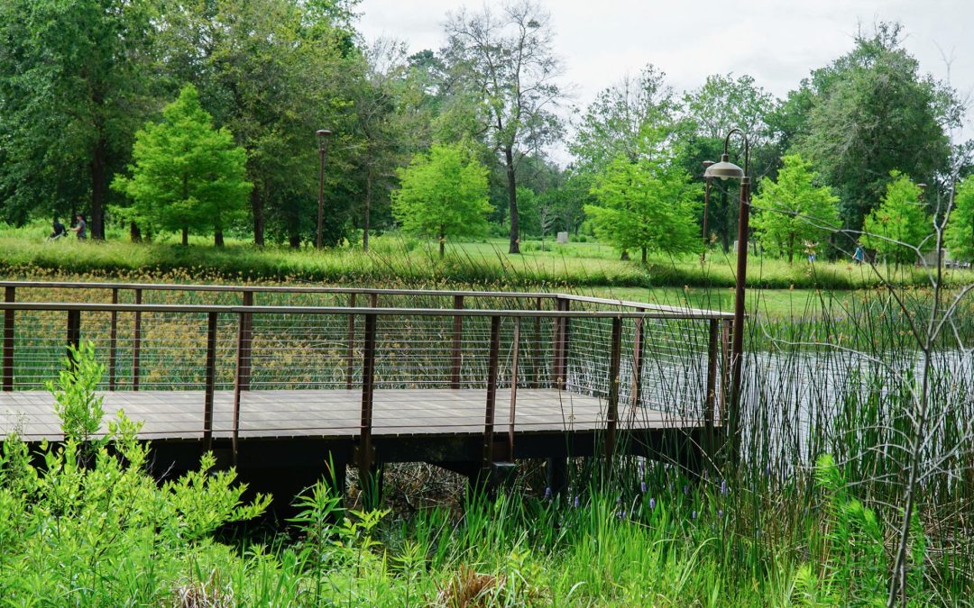 Memorial Park Eastern Glades II