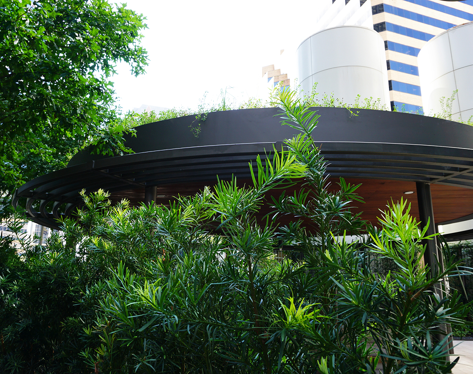 Close-up of curved wooden benches in the courtyard of River Oaks Baptist<br />
School
