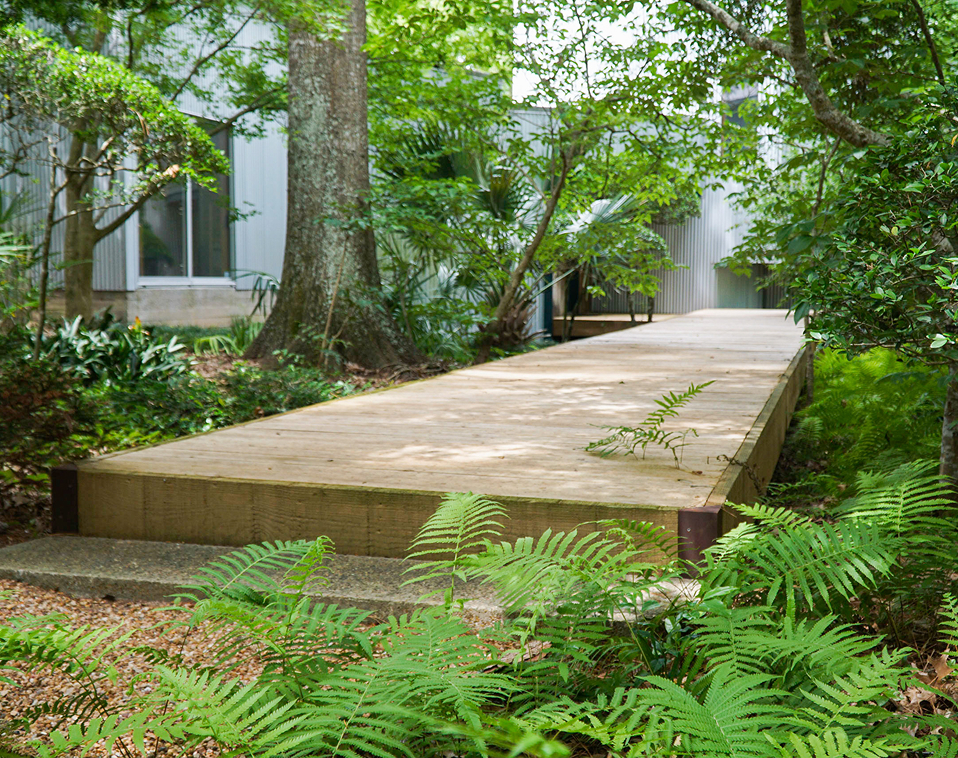 A raised wooden walkway surrounded by lush greenery leads to a building in John Fairey Garden