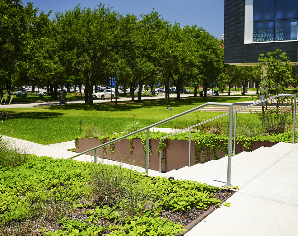 Custom metal planters fabricated and installed by Renfrow+Co at the LEED Gold certified Sarofim Hall campus gateway.