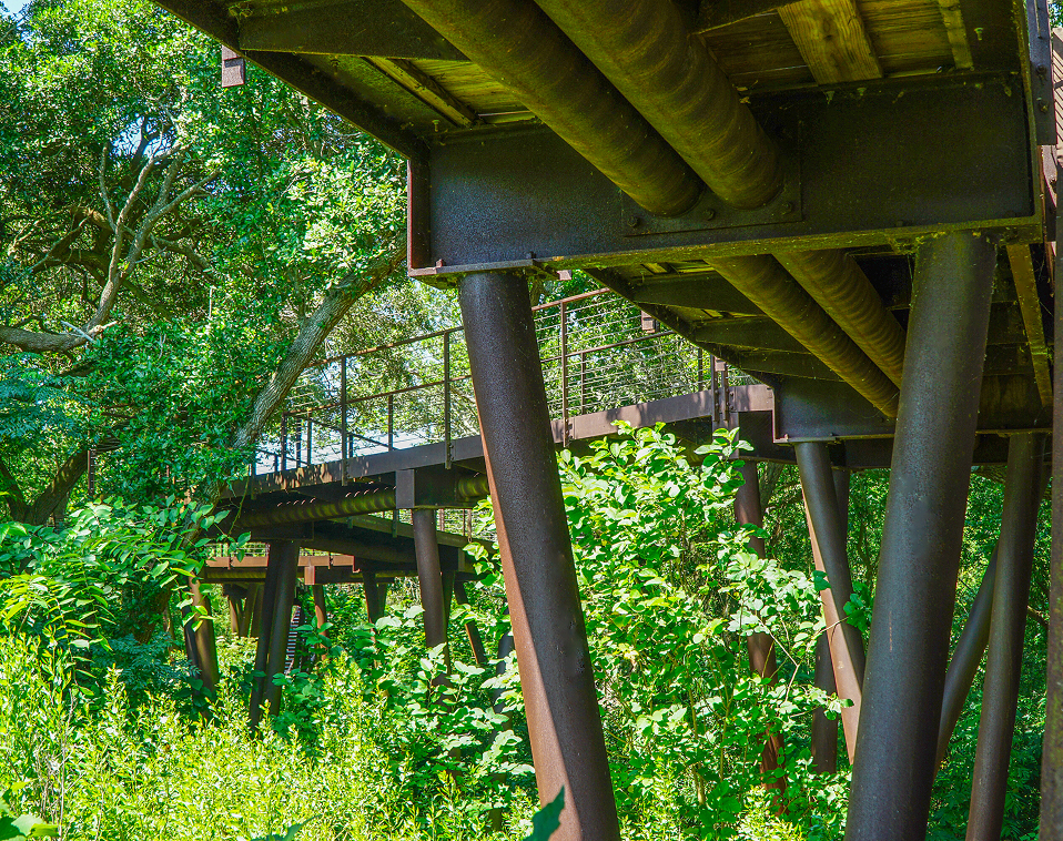View from underneath the High Island Sky Walk showing the weathered steel support beams and elevated walkway through lush green foliage, fabricated and installed by Renfrow+Co
