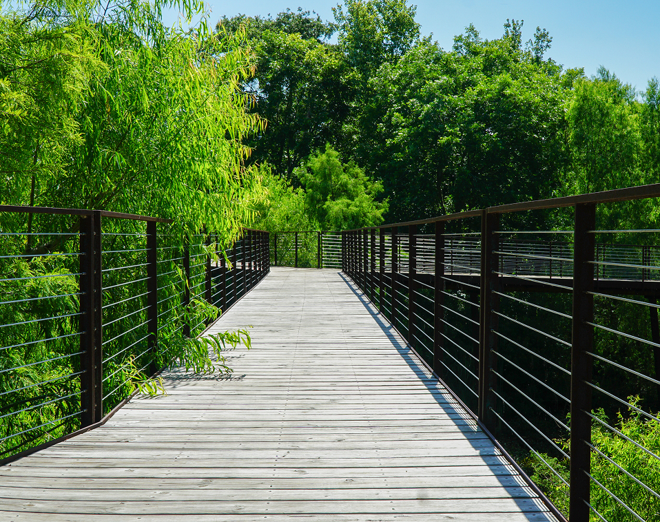 Renfrow+Co-designed elevated wooden walkway with rust-resistant steel railings, providing a scenic path through lush greenery at High Island Sanctuary