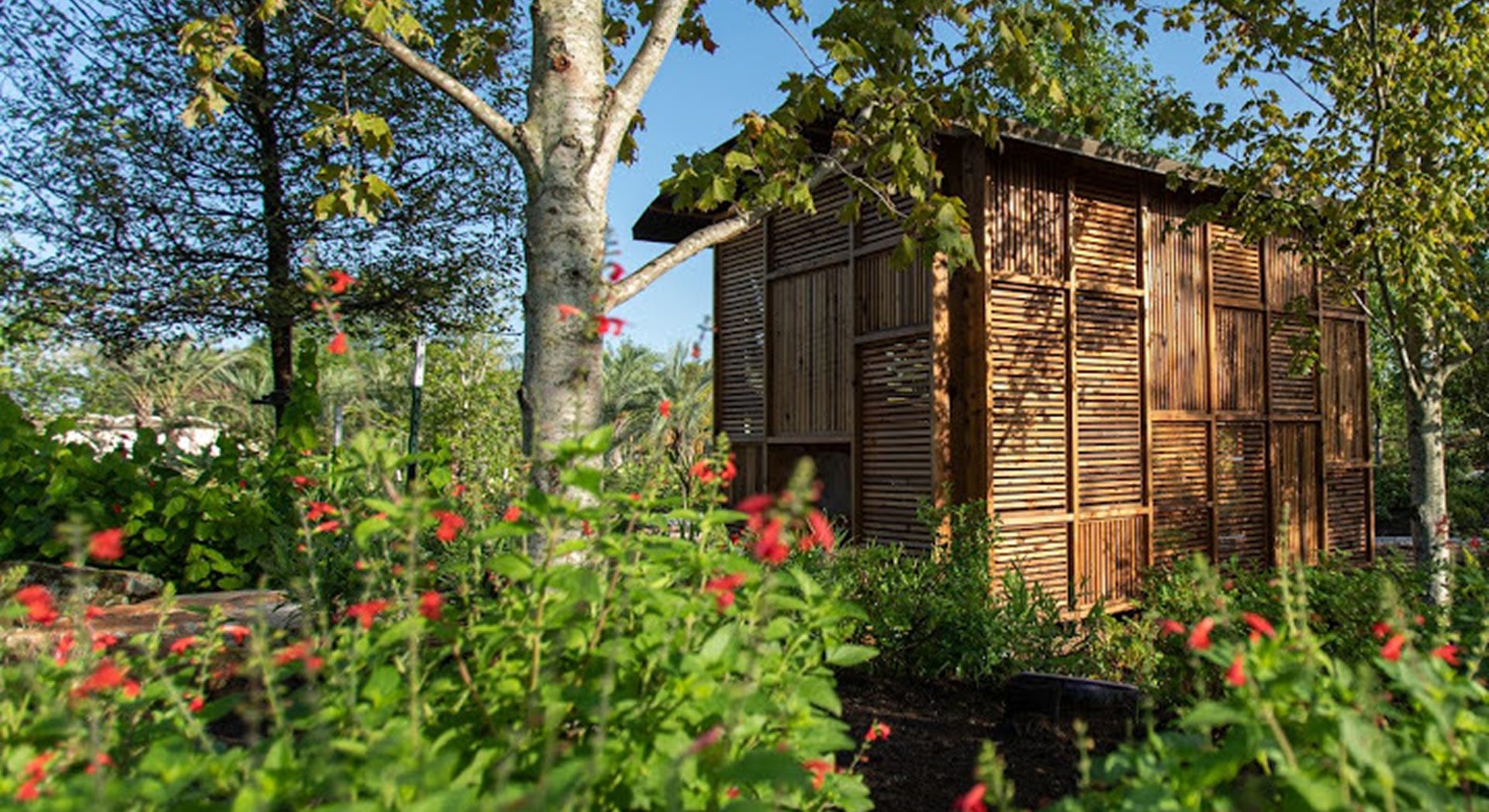 Wooden structure nestled among lush greenery and red flowering plants at the Houston Botanic Garden, crafted with intricate wood paneling by Renfrow+Co