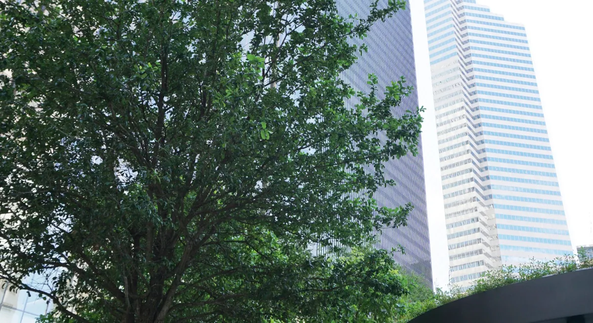 Landscaped greenery with custom planters in front of the modern 1001 Fannin building, highlighting Renfrow+Co's work on outdoor structures and planters