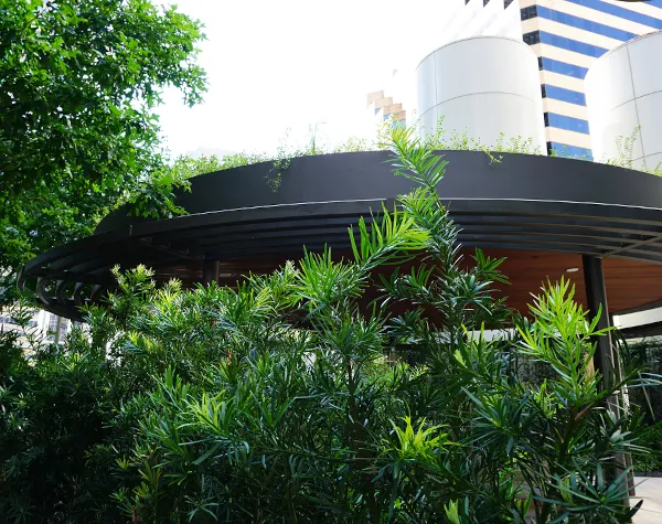 Close-up of Renfrow+Co's uniquely shaped pavilion featuring a wood-paneled ceiling and steel structure, complemented by custom planters with lush vegetation at the 1001 Fannin building in Houston