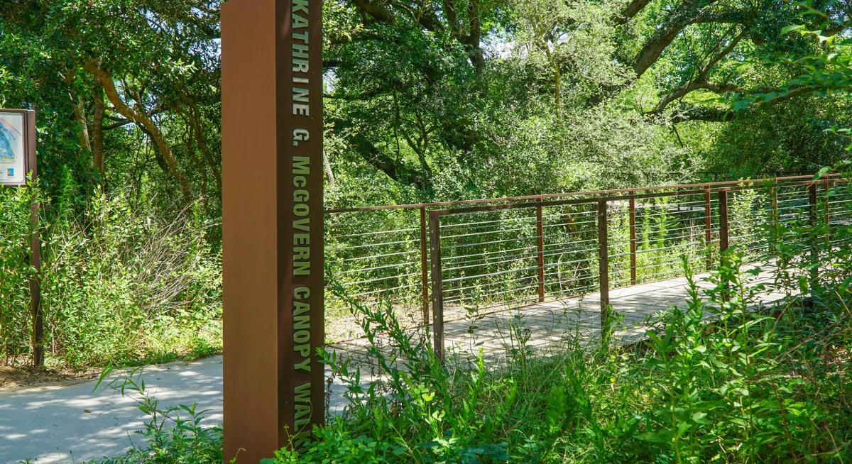 Kathrine G. McGovern Canopy Walk entrance with a metal signpost and cable-railed elevated walkway surrounded by dense greenery