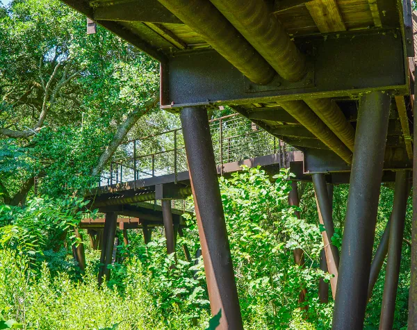 View from underneath the High Island Sky Walk showing the weathered steel support beams and elevated walkway through lush green foliage, fabricated and installed by Renfrow+Co