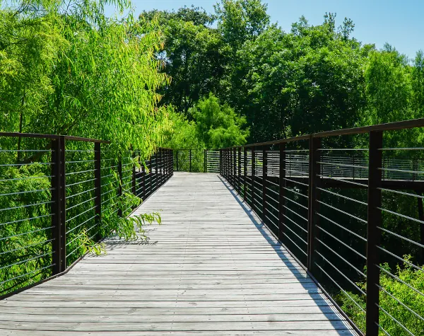 Renfrow+Co-designed elevated wooden walkway with rust-resistant steel railings, providing a scenic path through lush greenery at High Island Sanctuary