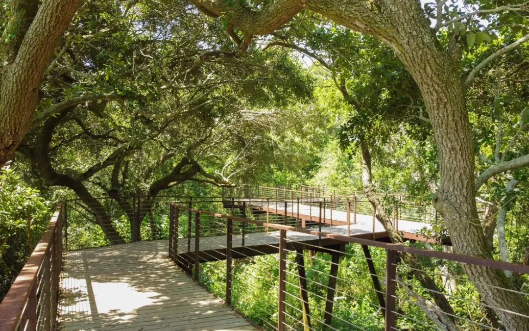 High Island Sky Walk | Custom Fabrication by Renfrow+Co