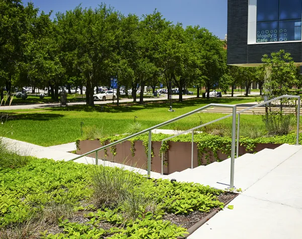 Custom metal planters fabricated and installed by Renfrow+Co at the LEED Gold certified Sarofim Hall campus gateway.